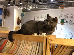 -小时光咖啡馆(开森度假森林店)