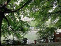 -成都市活水公园