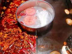 -蜀江龙火锅(339店)