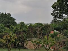 -云溪植物园