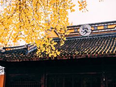 -苏州上方山国家森林公园