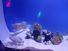 -常州海昌海洋探索馆