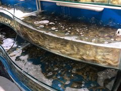 -四海蒸鲜蒸汽海鲜自助(北戴河店)