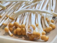 -蜀大侠火锅(春熙路店)