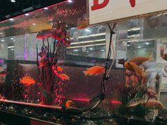 -新辉港式茶餐厅(北栅店)