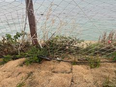 -苏州太湖国家湿地公园
