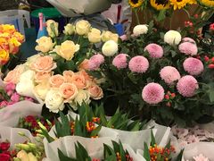 -绿叶子(春秀路店)