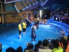 -烟台海昌鲸鲨海洋公园