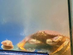 -海煮叹鲜·粥底火锅·港式海鲜打边炉(赛银国际广场店)