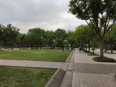 -新江湾城公园