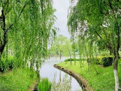 -上海鲜花港