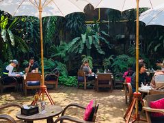 -Fern Forest Cafe