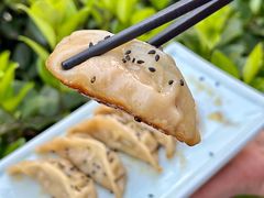 -财兜兜大黄山小馄饨