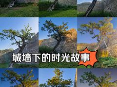 -北京明城墙遗址公园