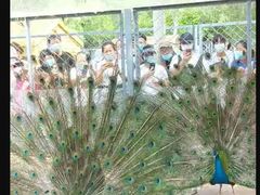 -长白岛森林公园