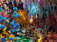 -正佳雨林生态植物园
