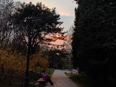 -元大都城垣遗址公园