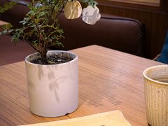 -CURRY YA 熟成咖哩專門店(深圳湾万象城店)