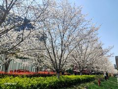 -新天地活力PARK