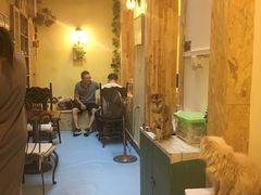 -猫色咖啡·猫咖