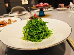 -粤凤佬·臻品(朝阳公园店)