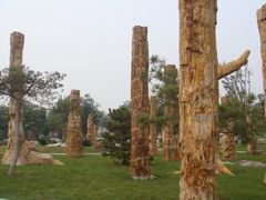 景点-石家庄市植物园