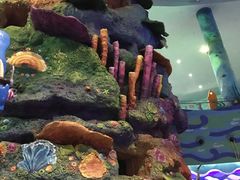 -青岛嘉年华主题乐园