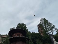 -宝通禅寺