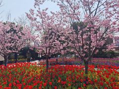 -丹东路渡口(轮渡站)