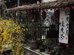 -雅安上里古镇