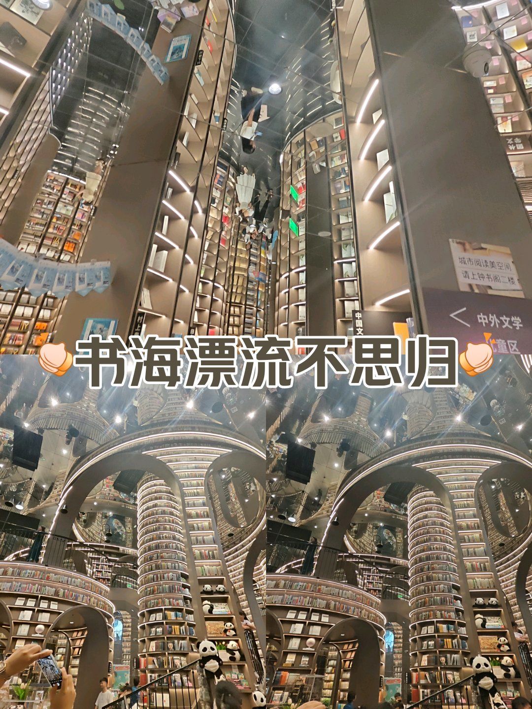 这片充满历史底蕴的土地上,有一处令人陶醉的知识秘境——钟书阁