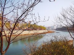 -桃花堤公园