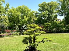 -申粤轩酒楼·三十年粤菜经典(丁香花园店)