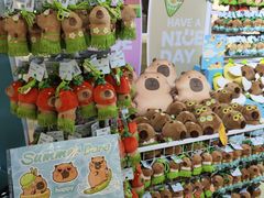 -酷乐潮玩(北京超极合生汇店)