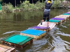 -沣峪口