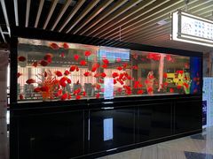 -玲珑汤泉生活会馆(花桥店)