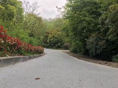 -新江湾城公园