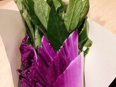 -十二舍·湯物素煮(江泰潤政店)