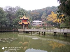 -岳麓山风景名胜区