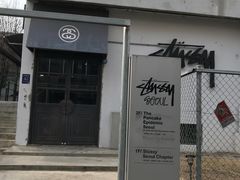 -STUSSY(狎鸥亭路46街店 )