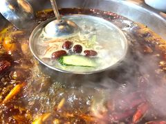 -金鼎雪山牦牛杂火锅(理县总店)