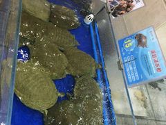 -东江海鲜酒家(艺都分店)