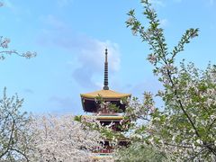 -东湖磨山景区樱花园-停车场