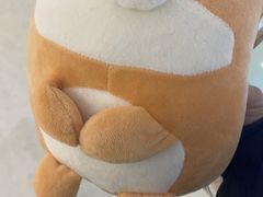 -大玩家(大连高新万达店)