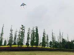 -两河城市森林公园