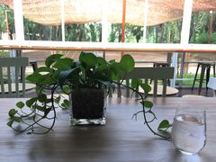 大堂-马咖啡macup·意式轻餐·观景餐厅