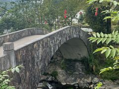 -石台牯牛降景区