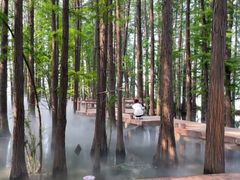 -东湖落雁景区