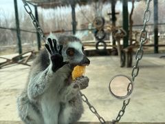 -水上乐园·欢乐世界