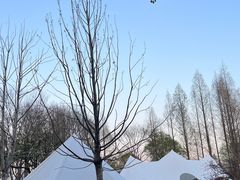 -渤公岛生态公园